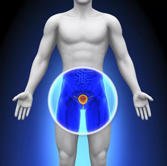 Prostate Cancer: Symptoms, Causes & Treatment